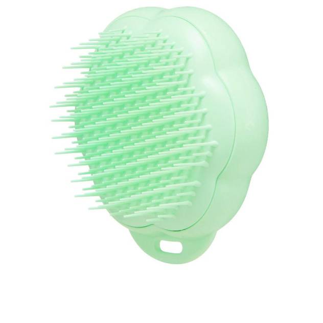 PET TEEZER CAT grooming brush 1 u